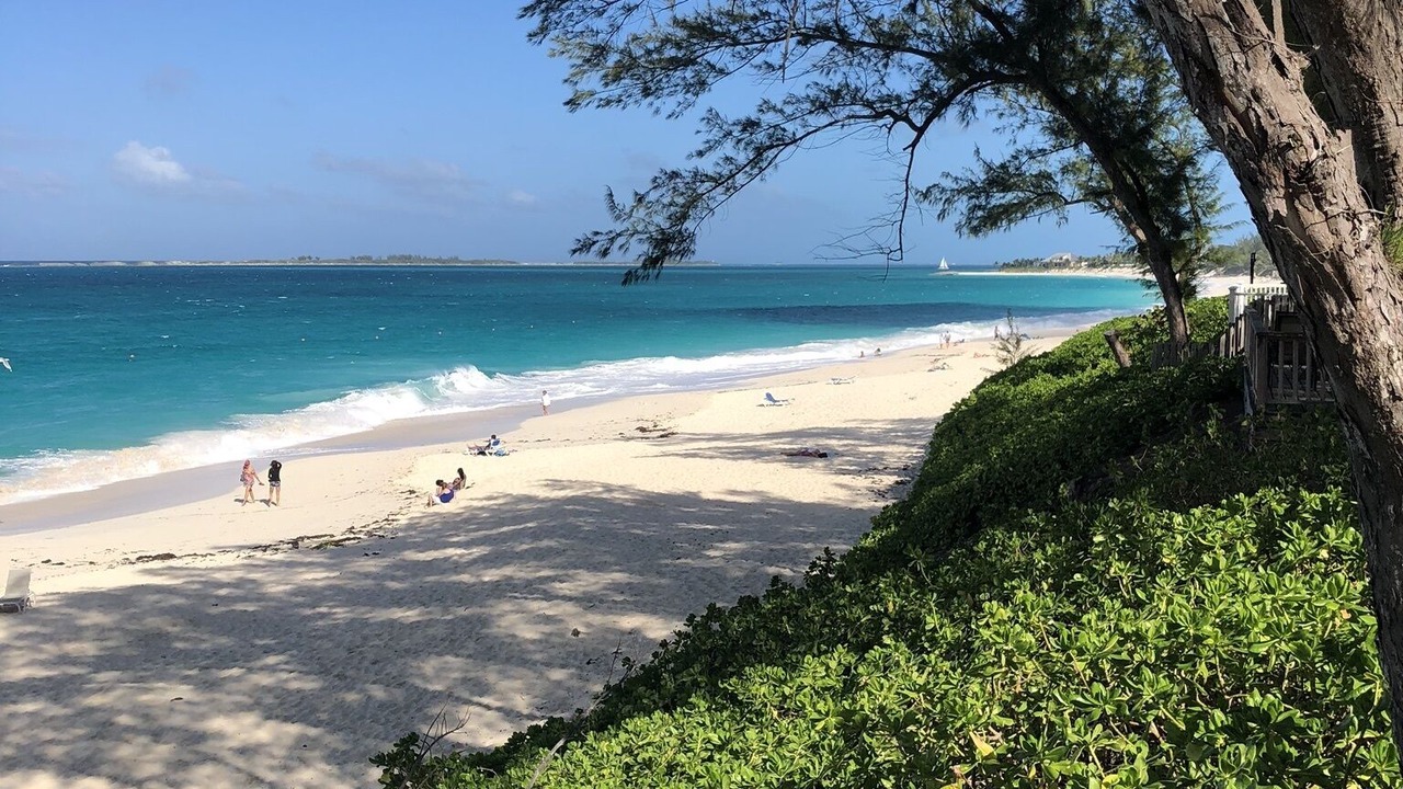 Photo of Others in Paradise Island