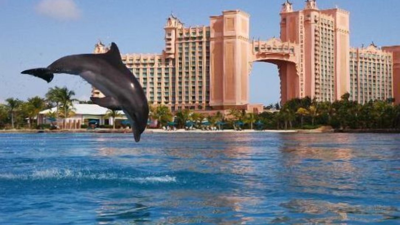 Photo of Others in Paradise Island