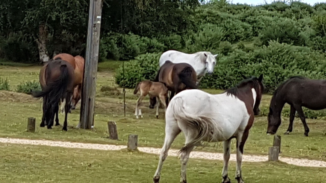 Photo of Others in Burley