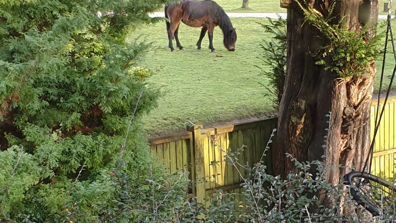 Photo of Others in Burley
