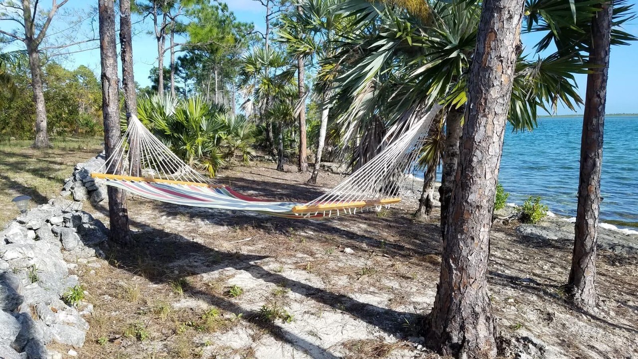 Photo of Others in Andros Island