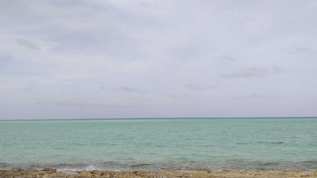 Photo of Others in Andros Island