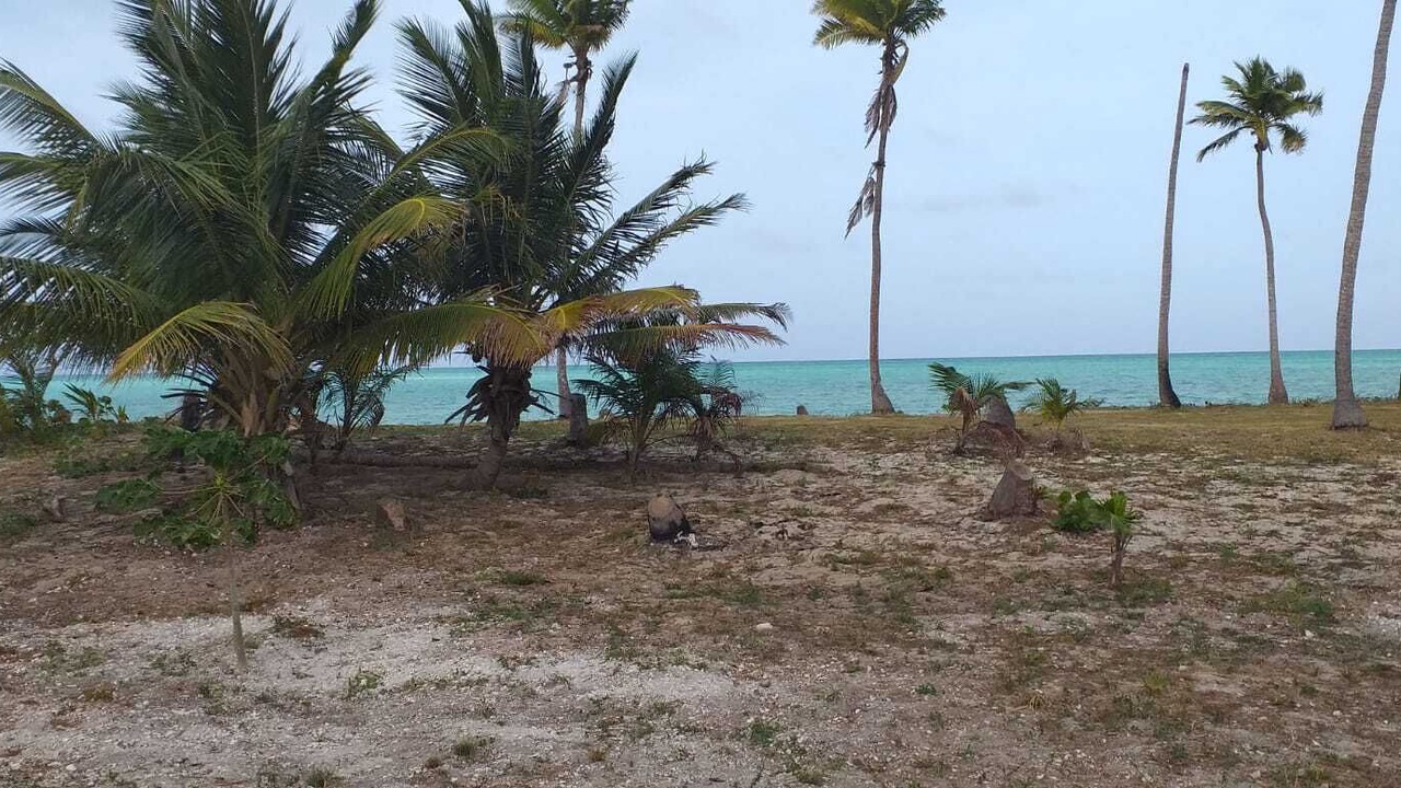 Photo of Others in Andros Island