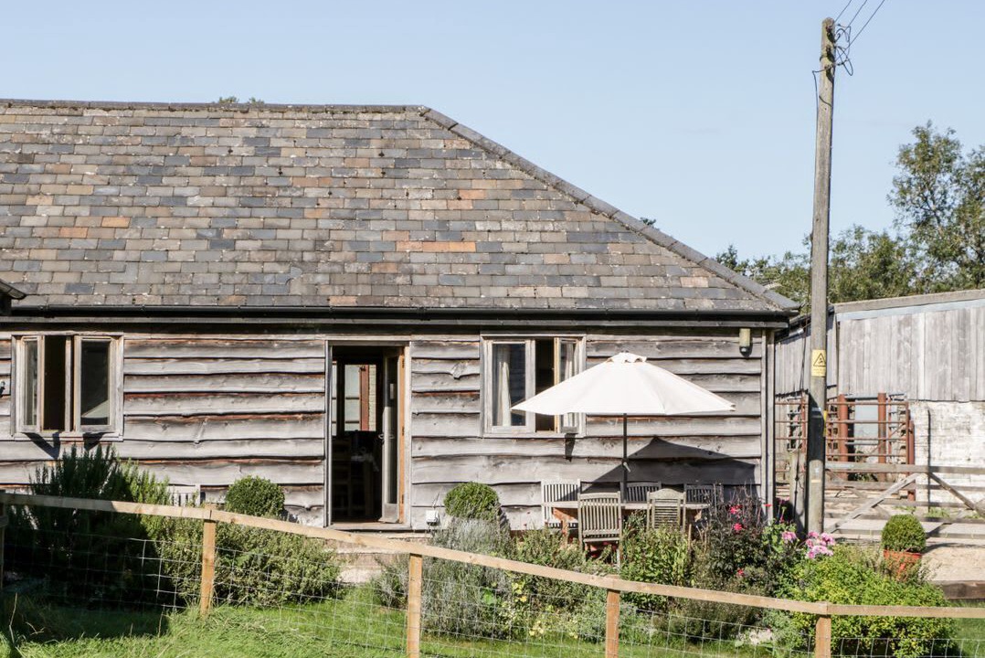 Photo of Others in New Forest District