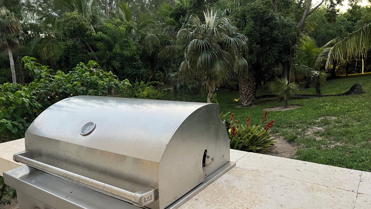 Photo of Outdoor in North Palmetto Point