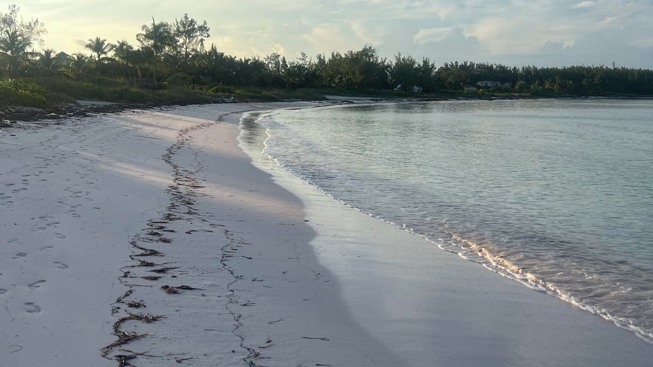 Photo of Others in Tarpum Bay