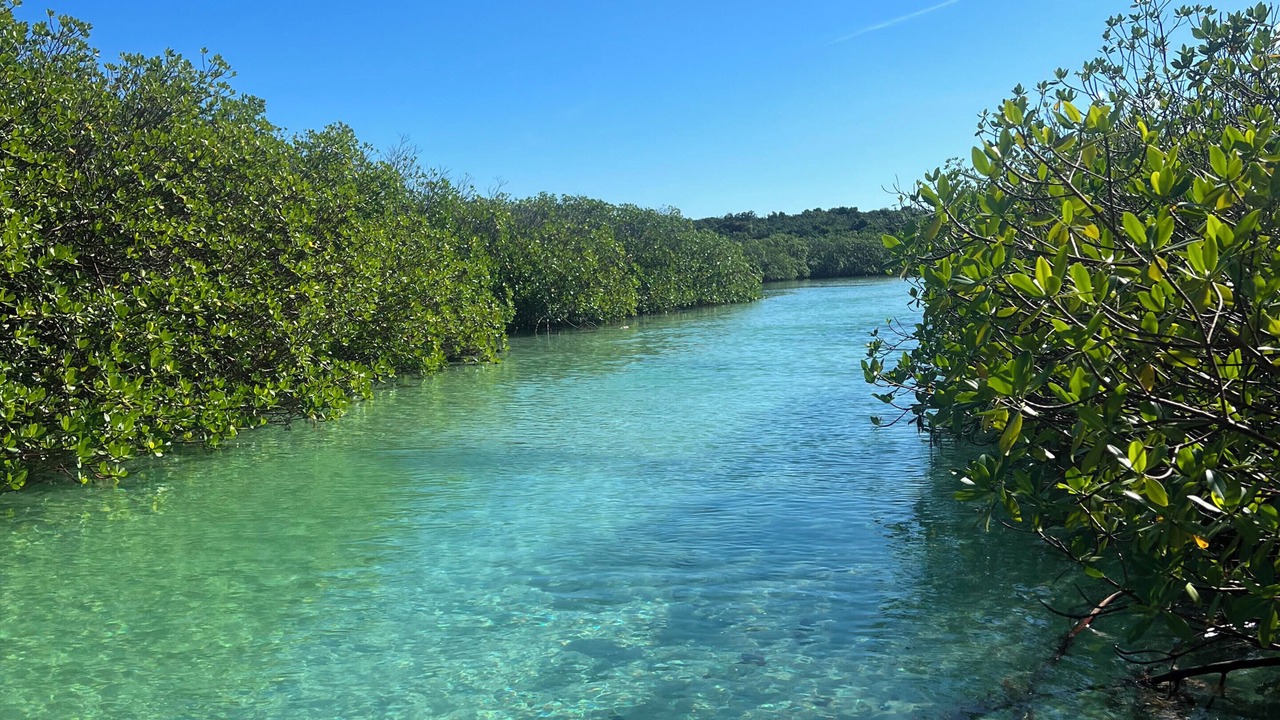 Photo of Others in Tarpum Bay