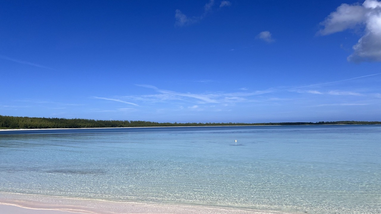 Photo of Others in Tarpum Bay