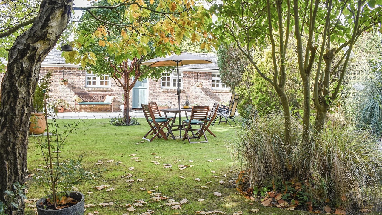 Photo of Outdoor in East Knighton