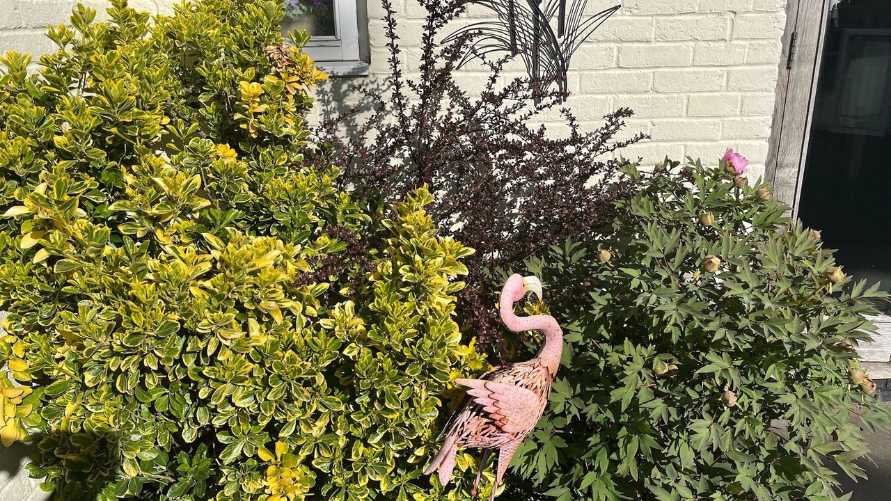 Photo of Outdoor in Silsoe