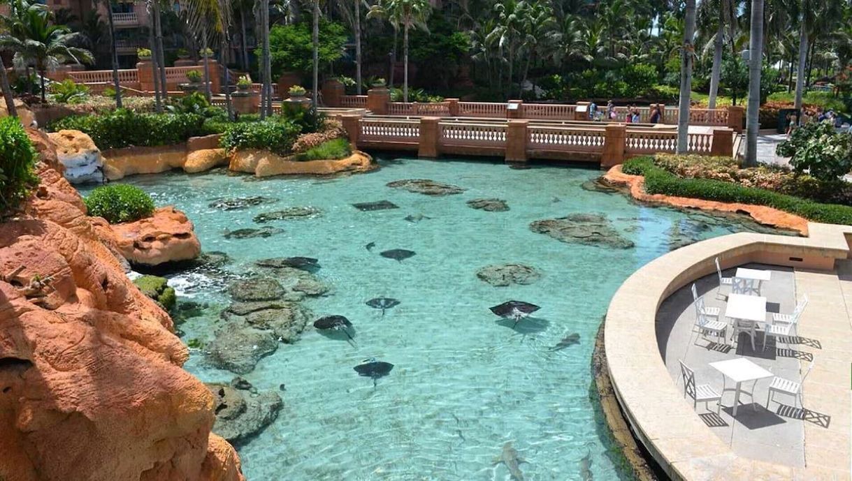 Photo of Outdoor in Paradise Island