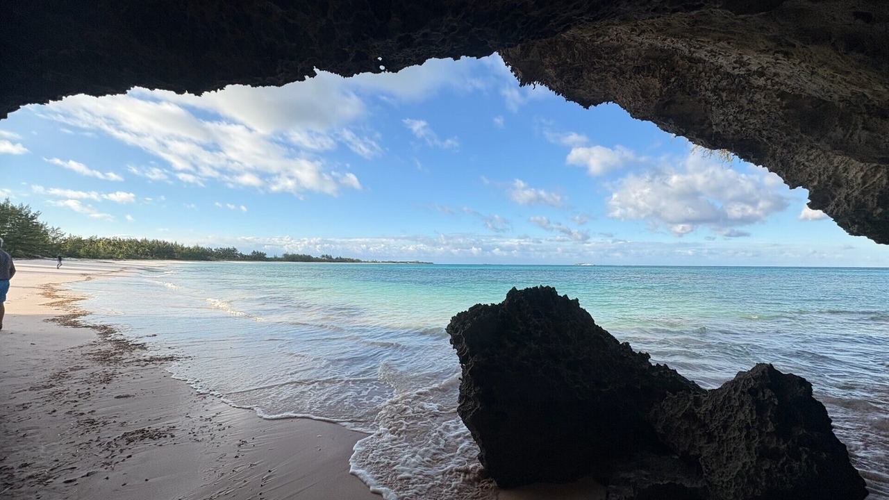 Photo of Others in Double Bay