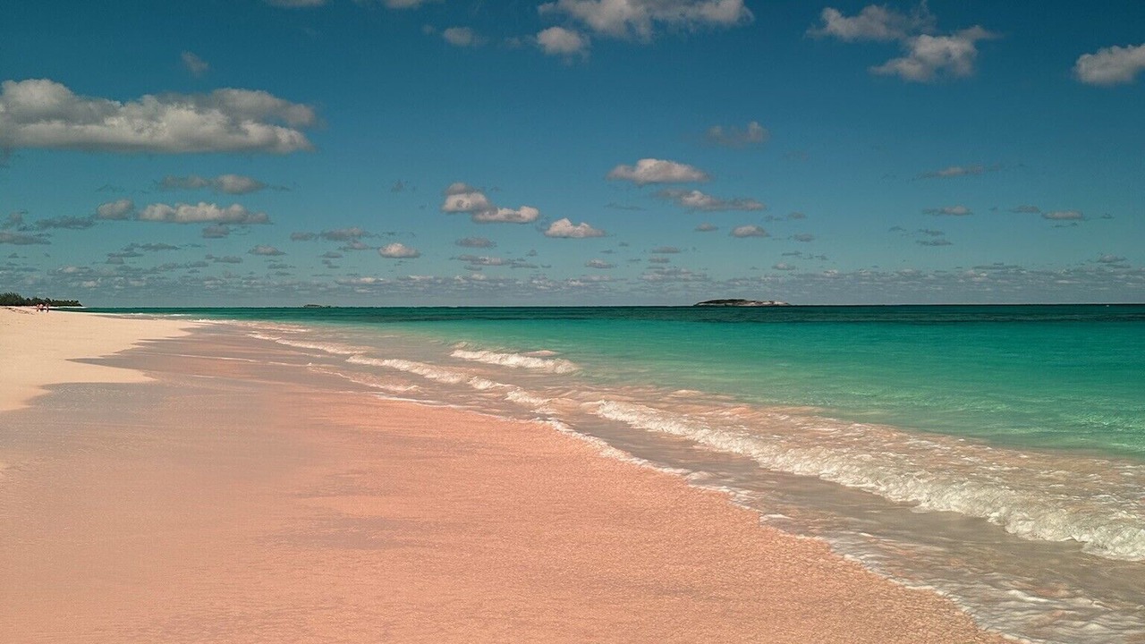 Photo of Others in Double Bay