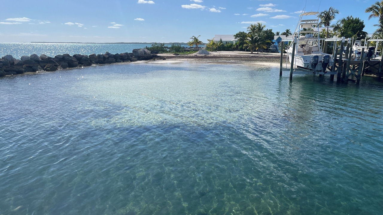 Photo of Others in Lubbers Quarters Cay