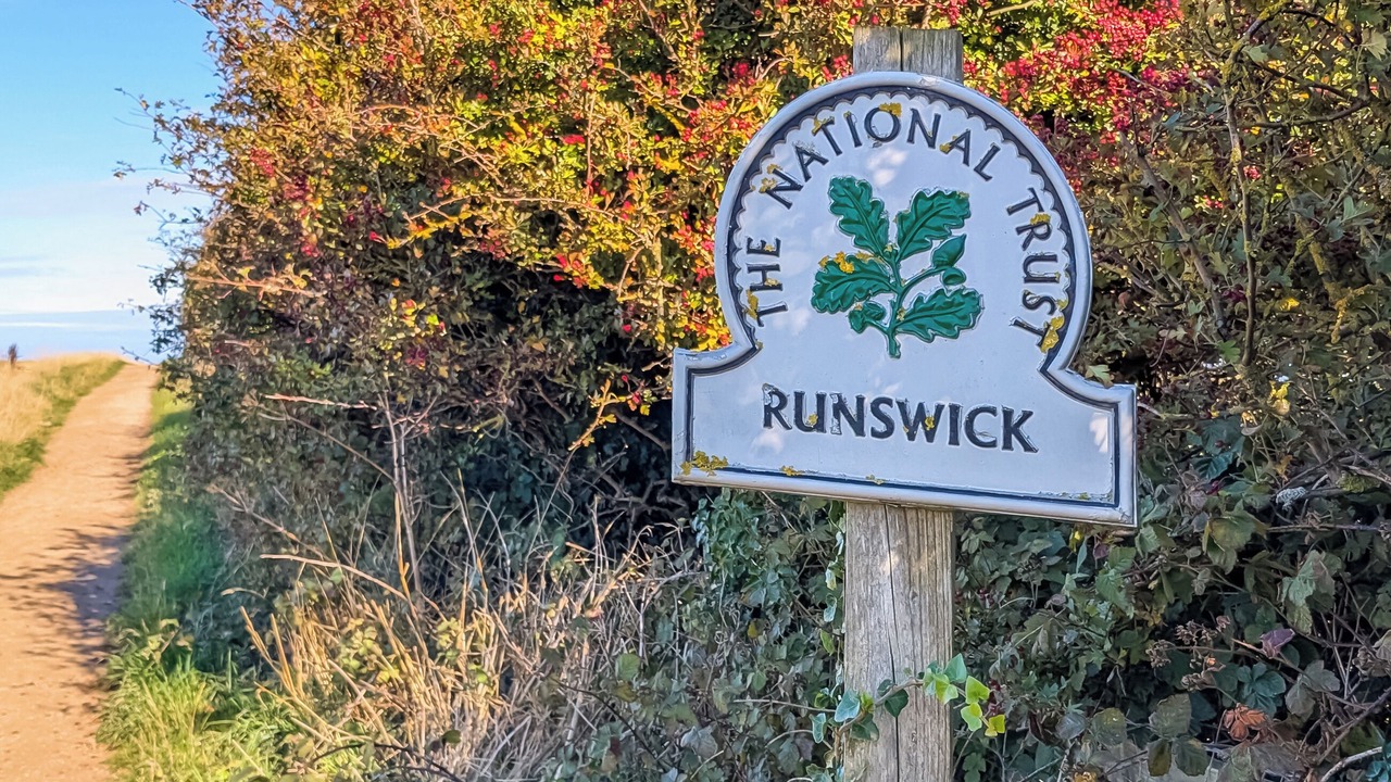 Photo of Others in Runswick Bay