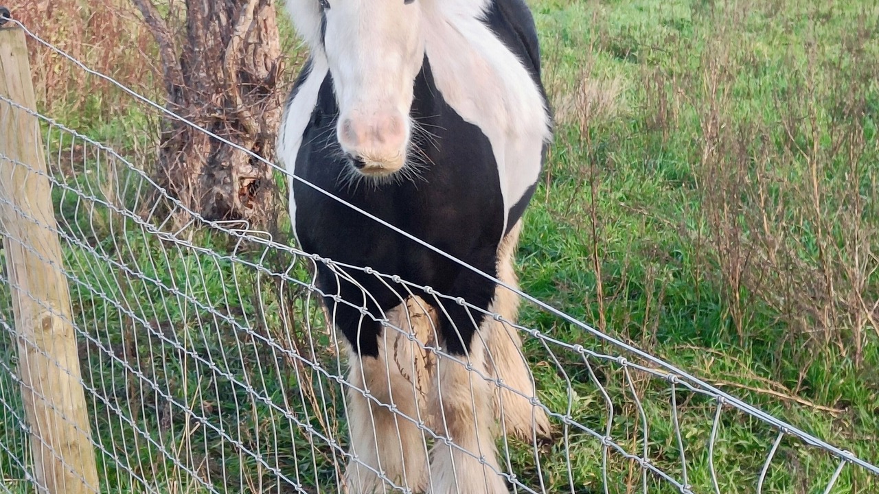 Photo of Others in Twywell
