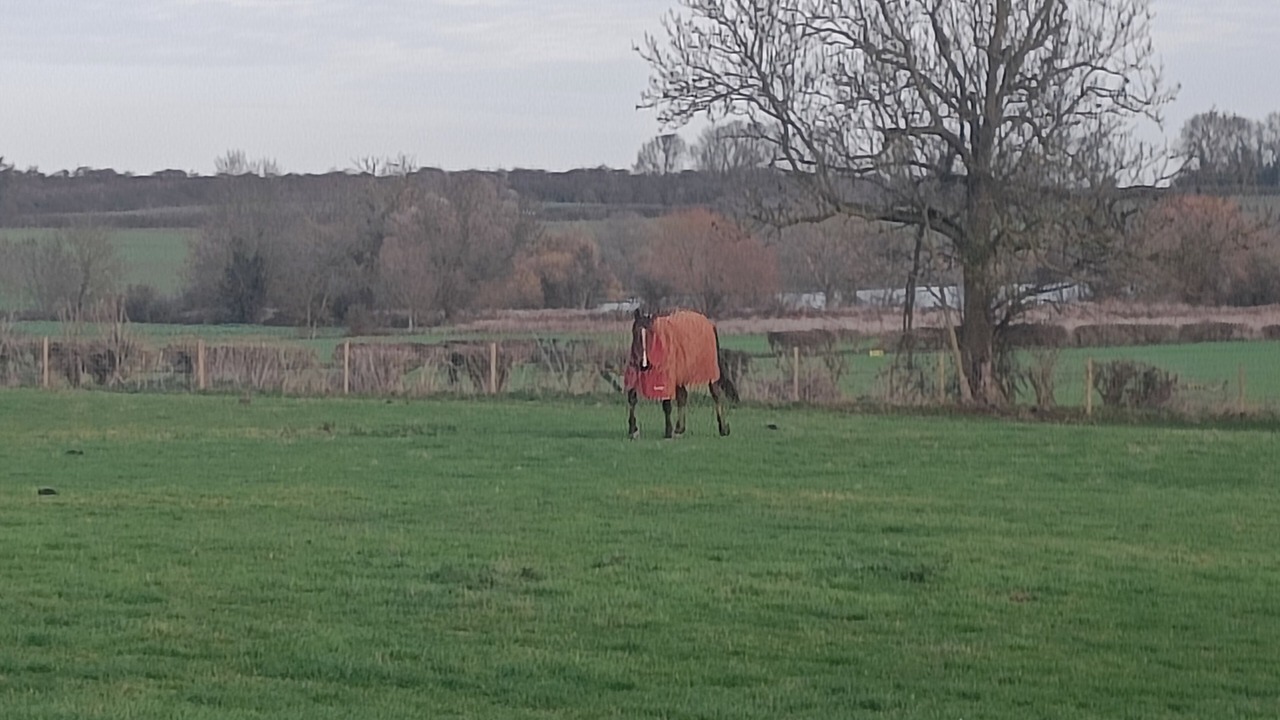 Photo of Others in Twywell