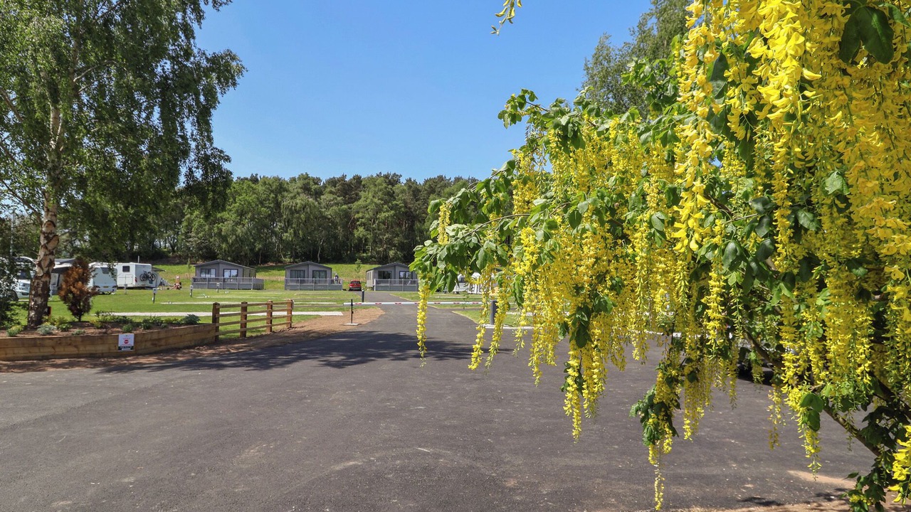 Photo of Outdoor in Cotebrook