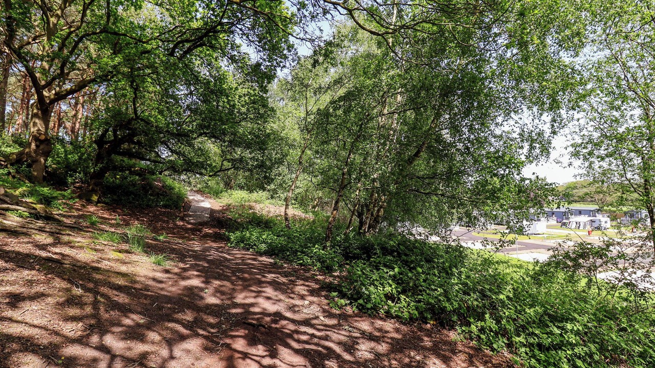 Photo of Others in Cotebrook