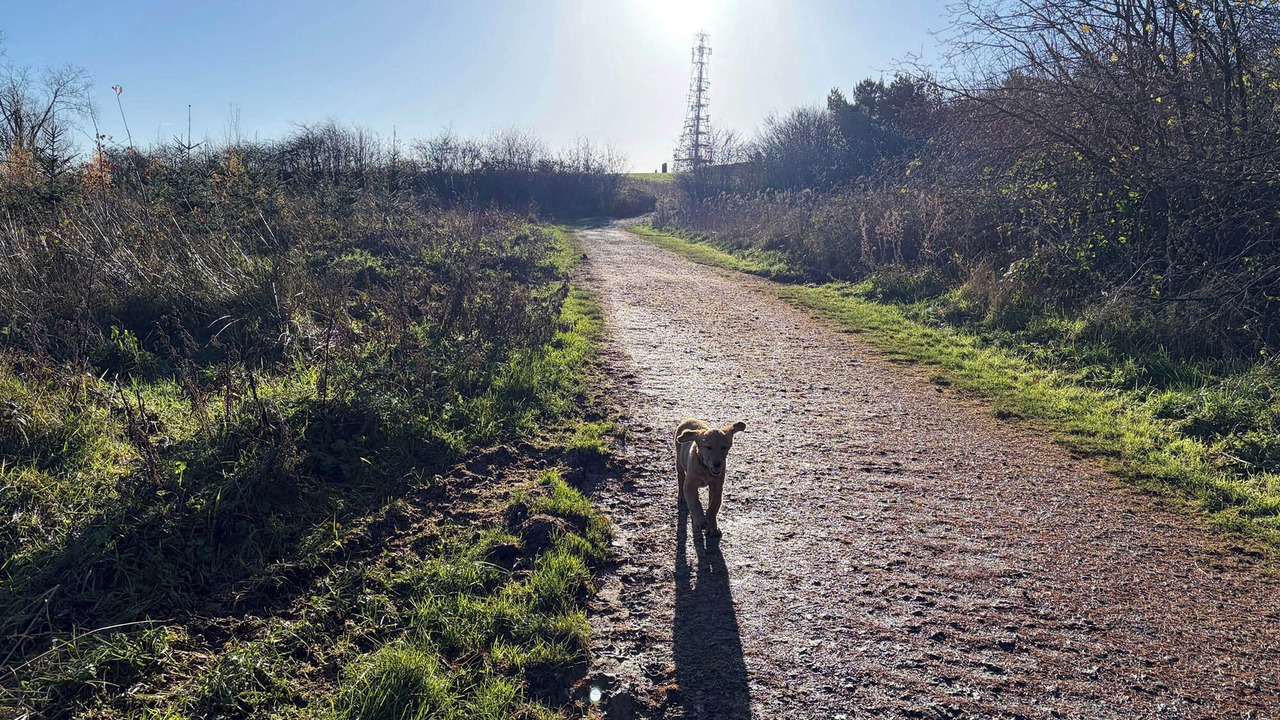 Photo of Others in Cotebrook