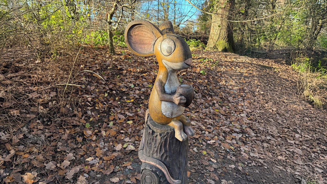 Photo of Outdoor in Cotebrook