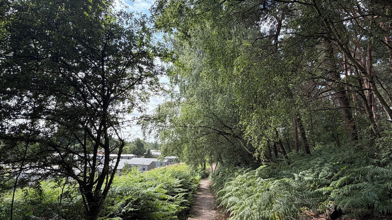 Photo of Others in Cotebrook