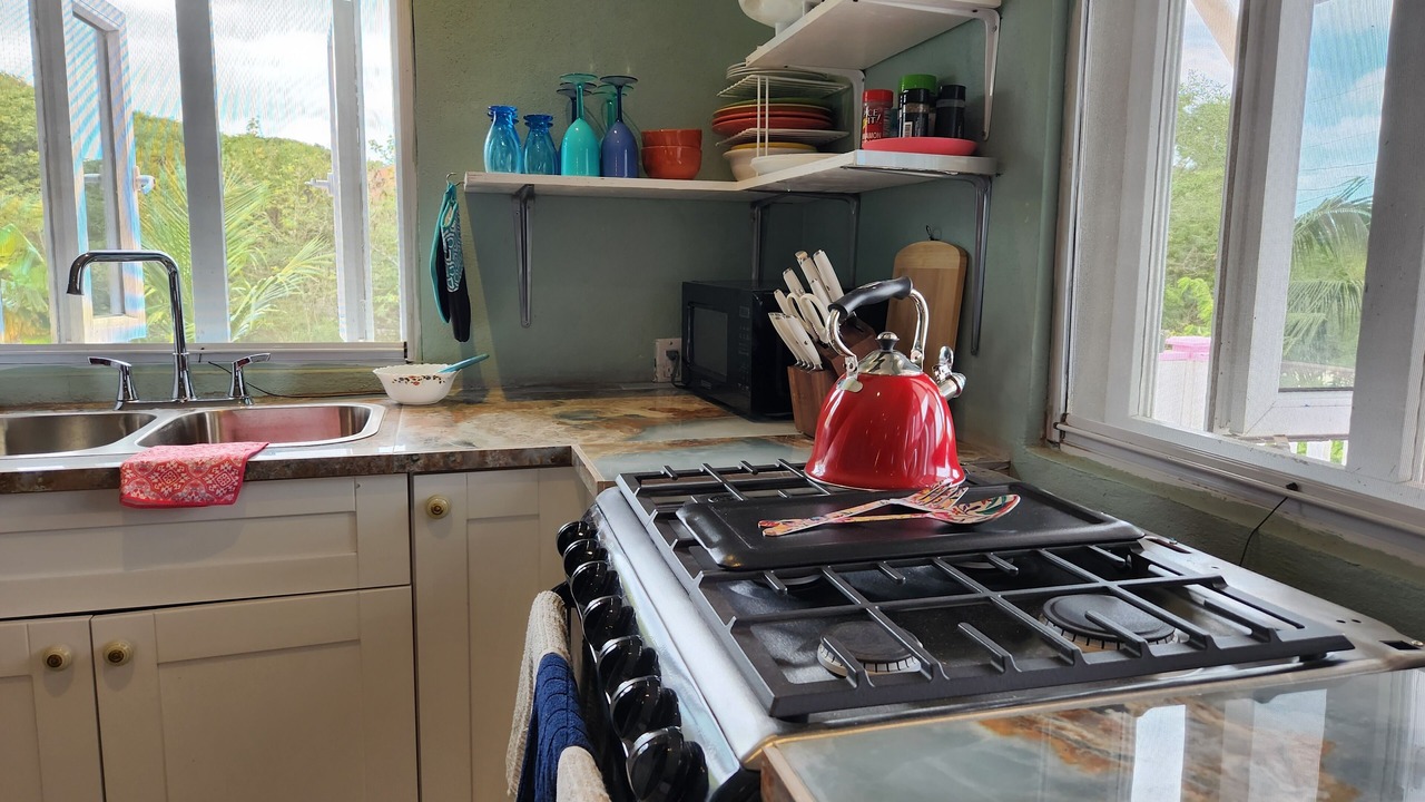 Photo of Kitchen in Rokers Point