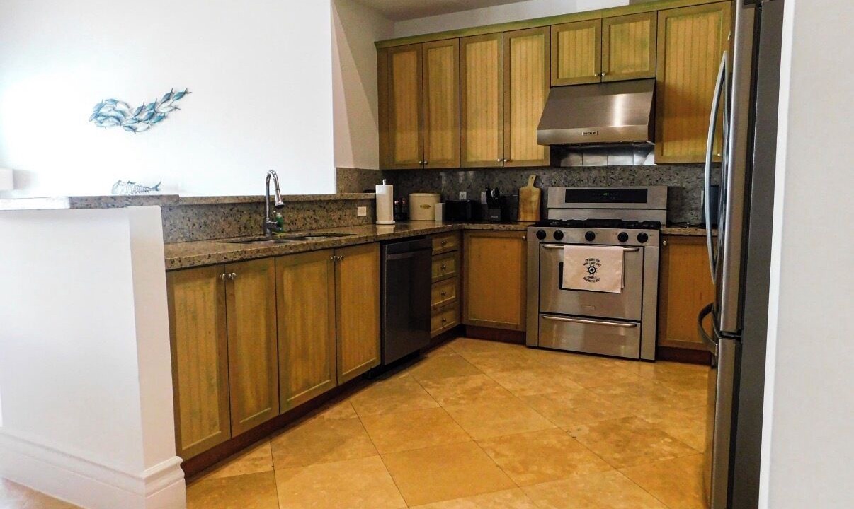 Photo of Kitchen in Alice Town