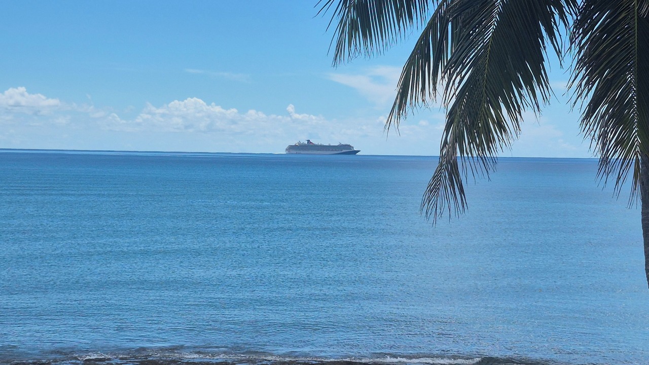 Photo of Others in Bahamas Terrace