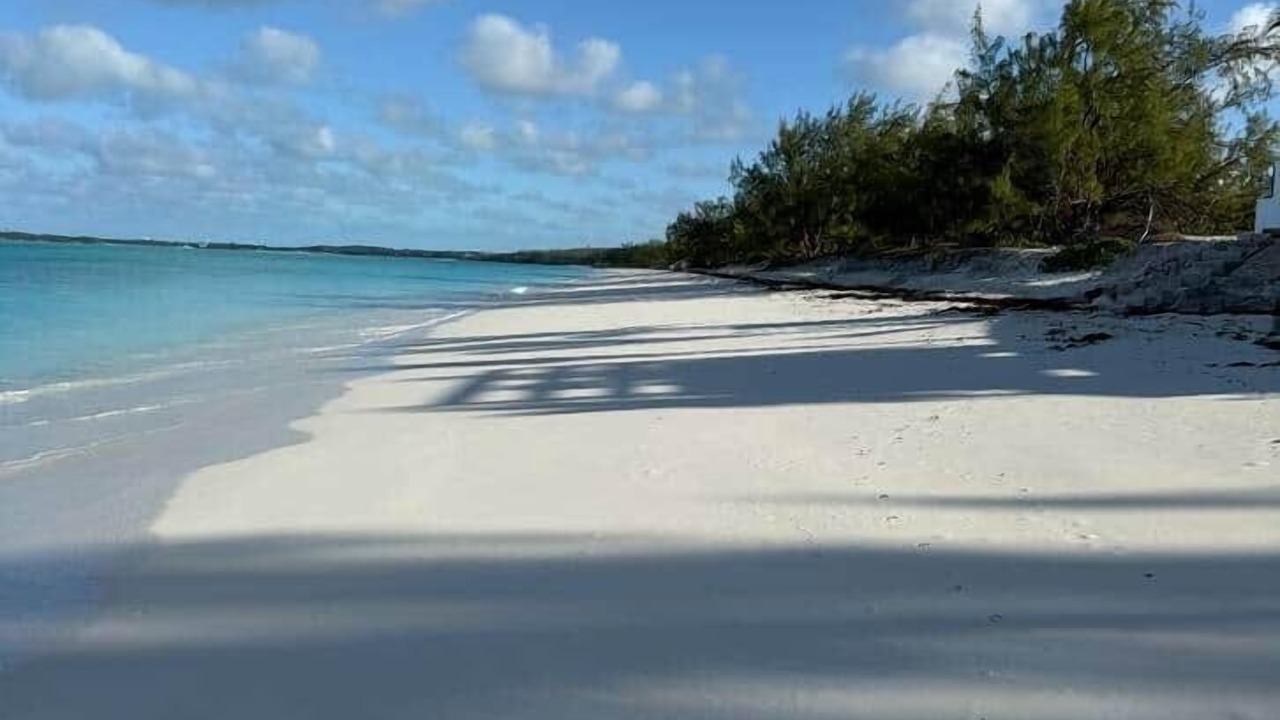 Photo of Others in Tar Bay