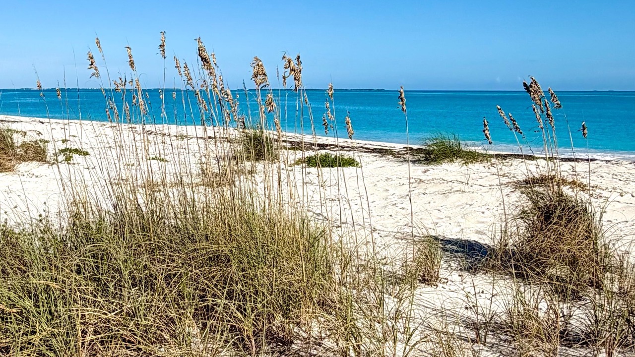 Photo of Others in Treasure Cay