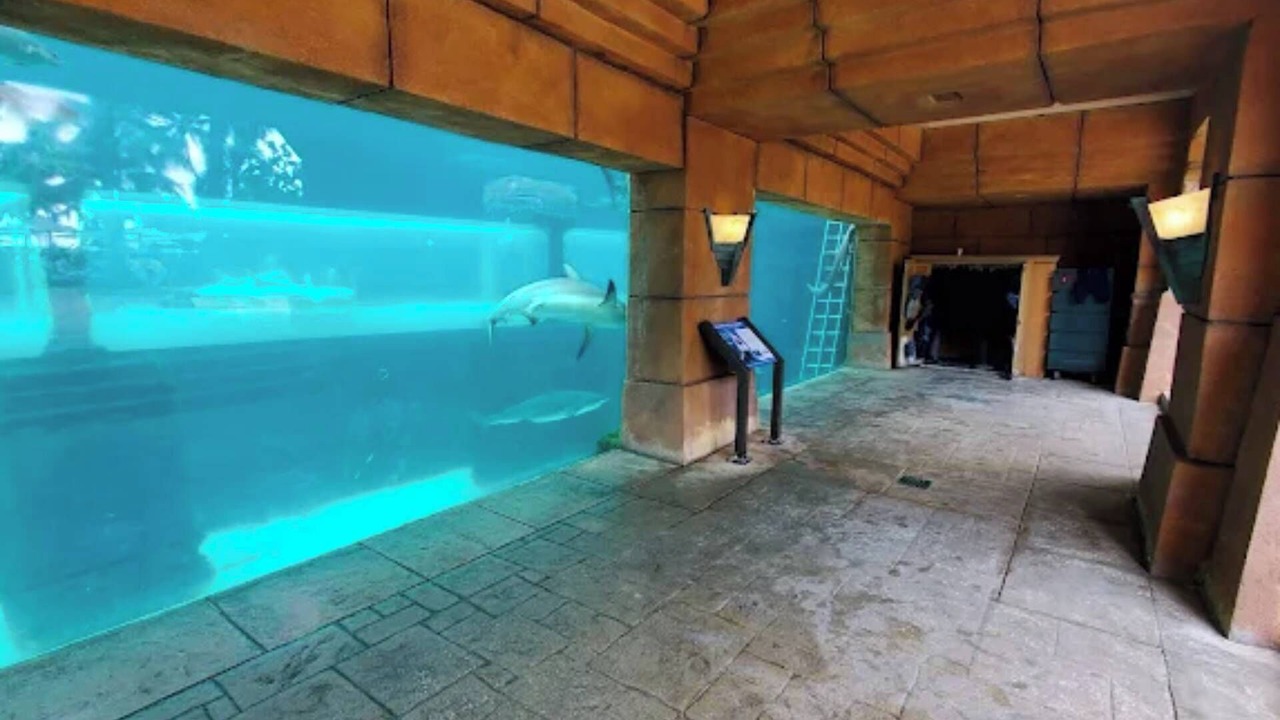 Photo of Outdoor in Paradise Island