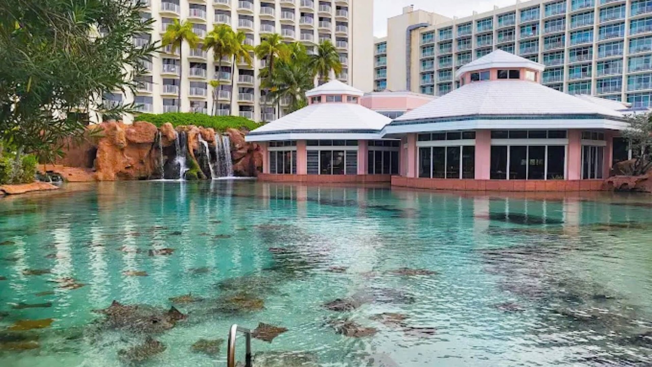Photo of Others in Paradise Island