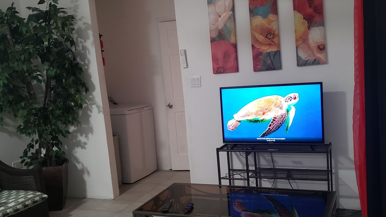 Photo of Livingroom in George Town
