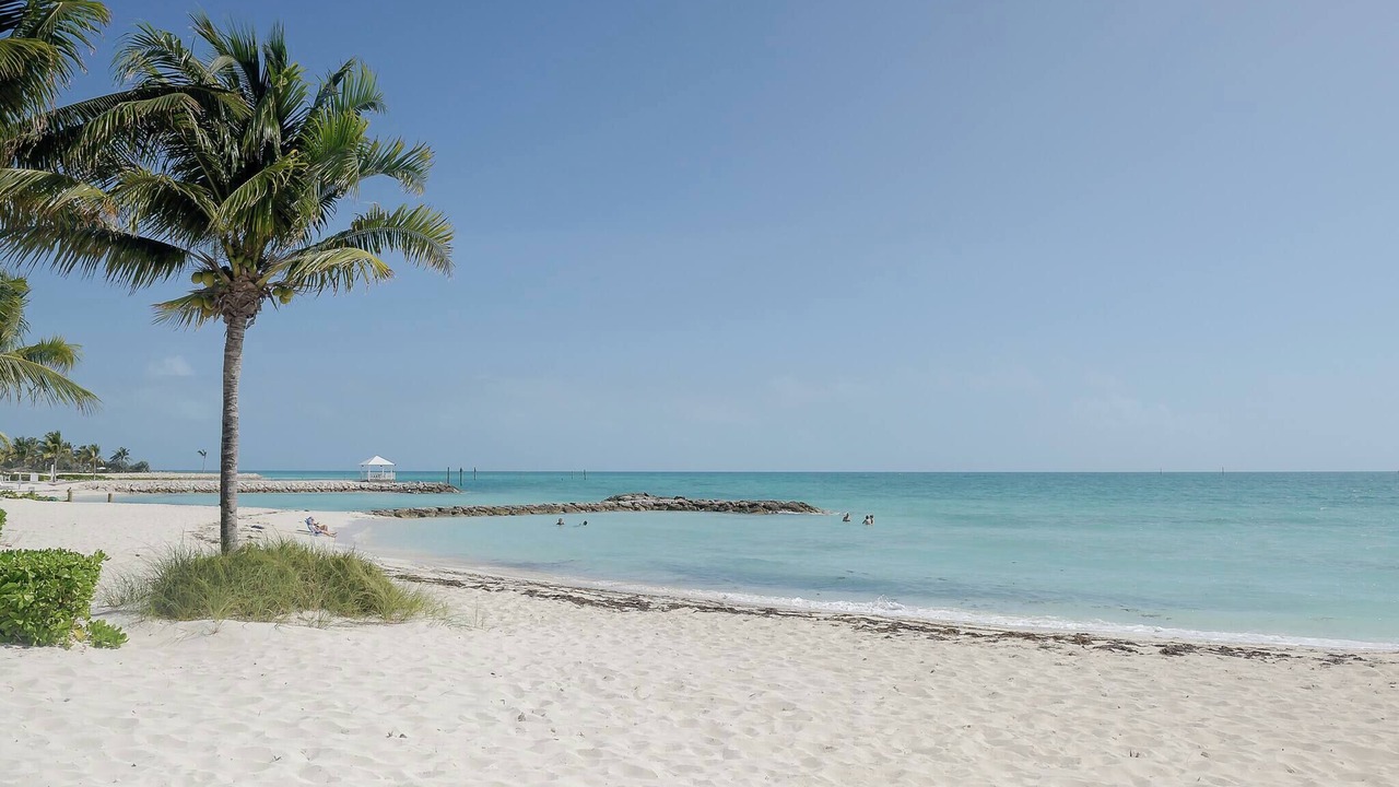 Photo of Others in Palm Cay
