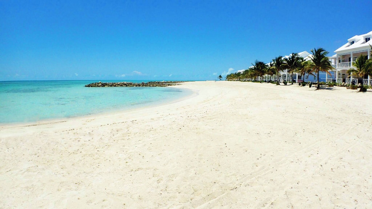 Photo of Others in Palm Cay