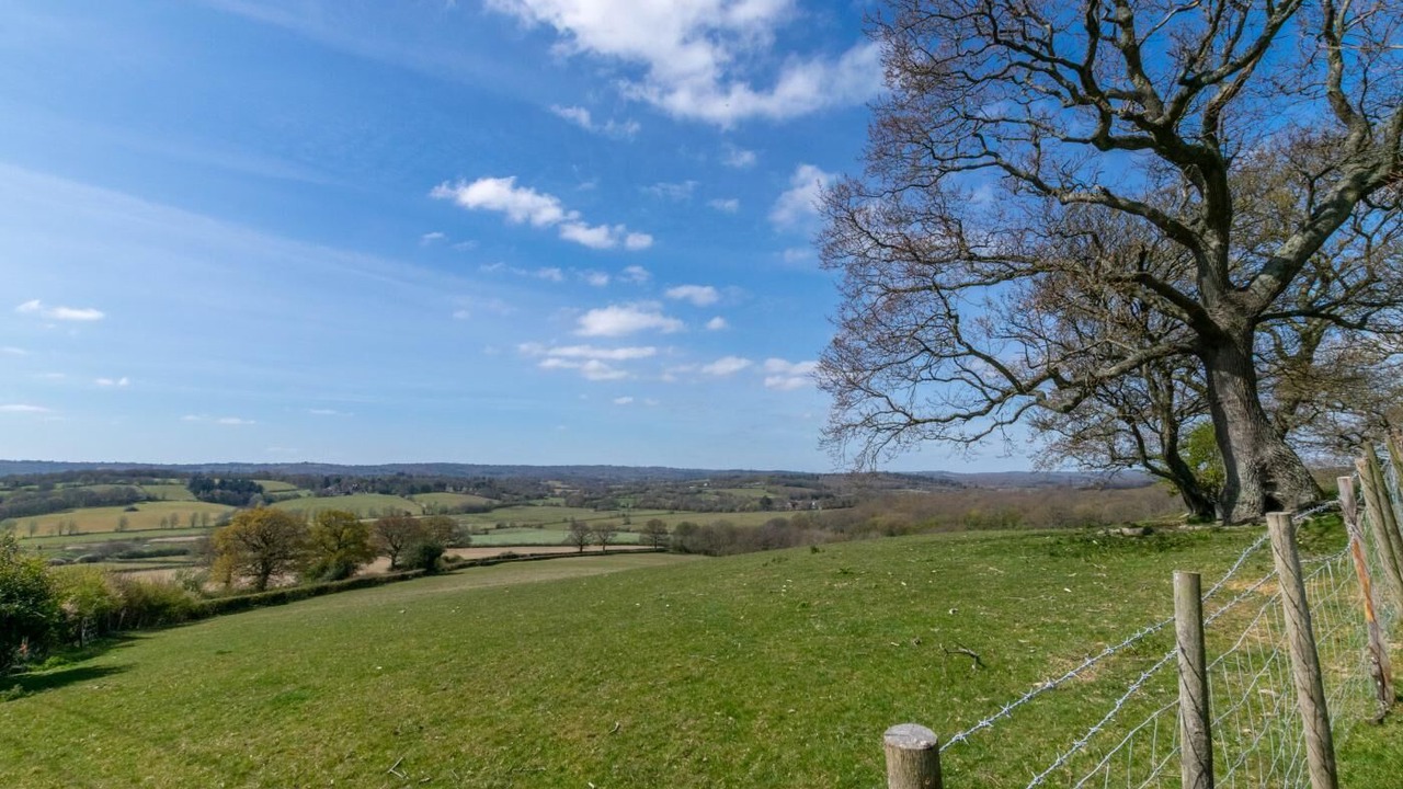 Photo of Others in Ewhurst Green