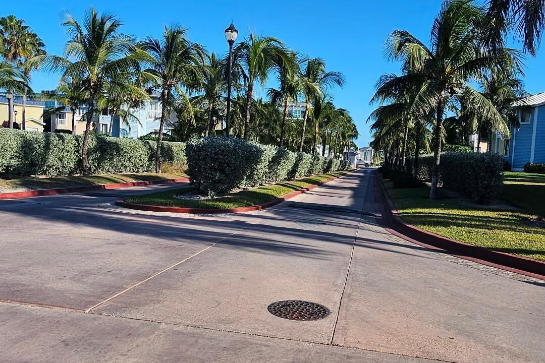 Photo of Outdoor in Alice Town