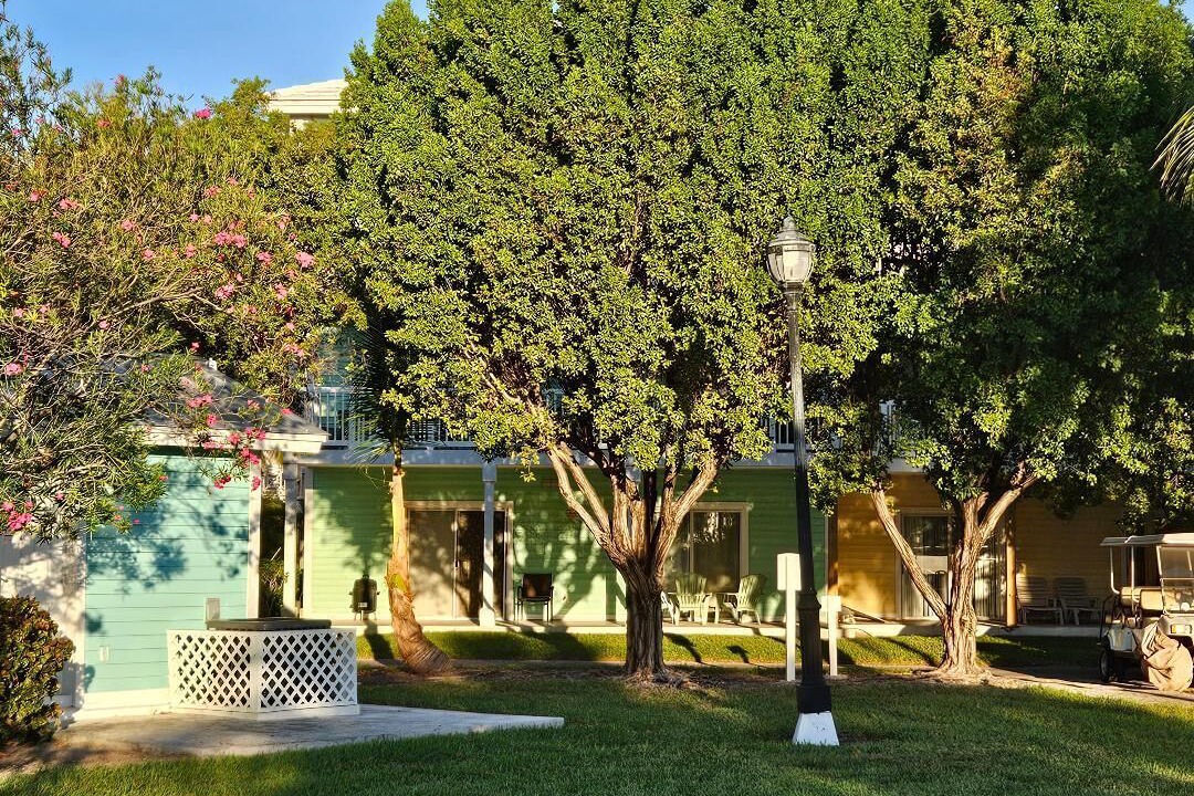 Photo of Outdoor in Alice Town