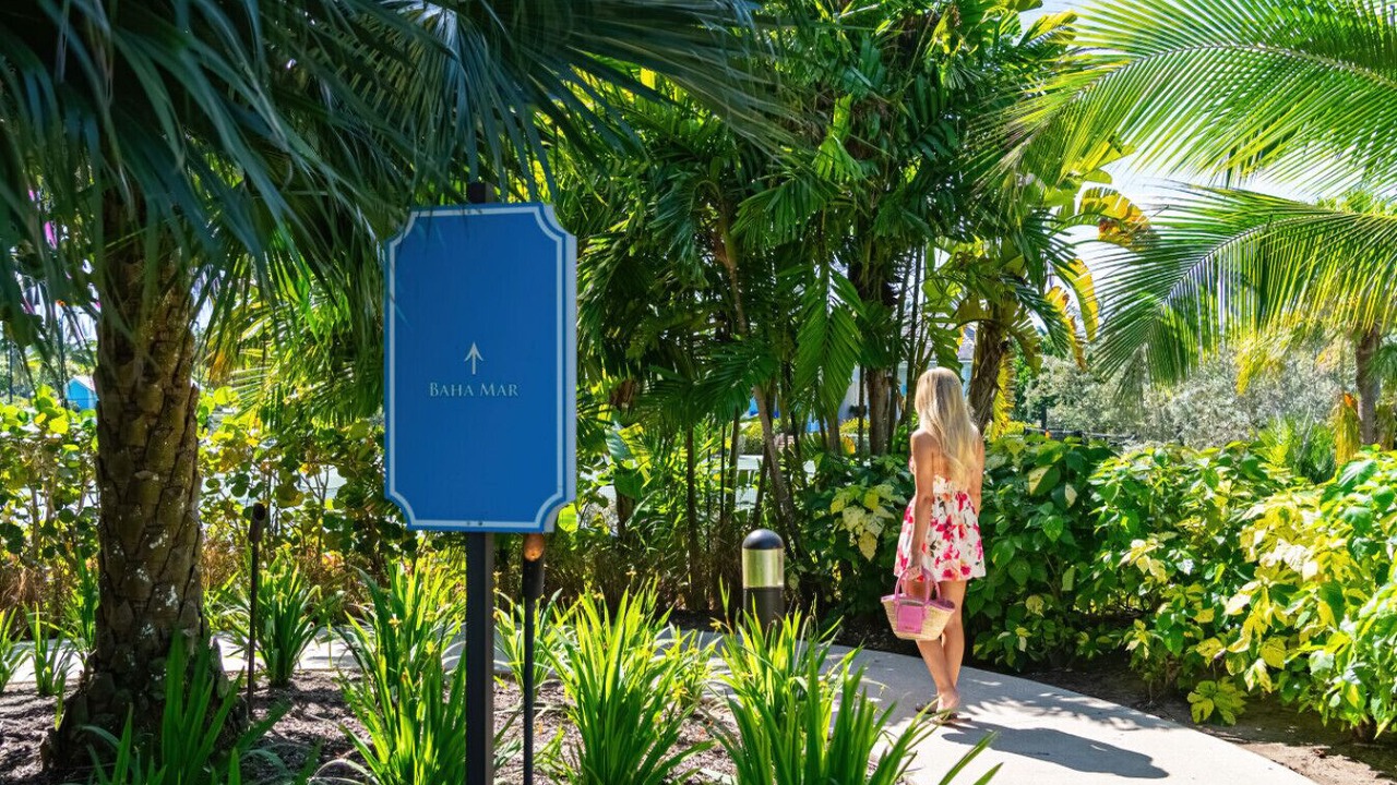 Photo of Others in Nassau