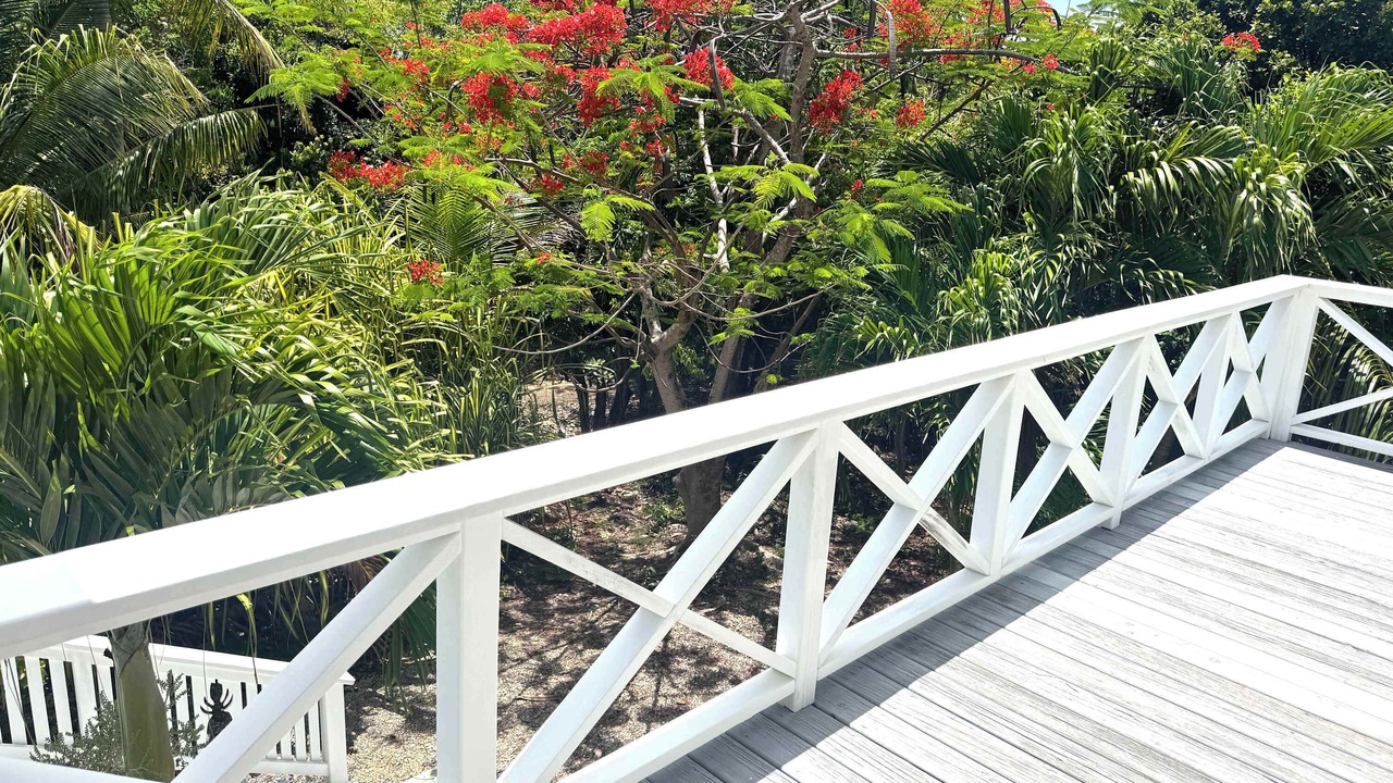 Photo of Outdoor in Lubbers Quarters Cay