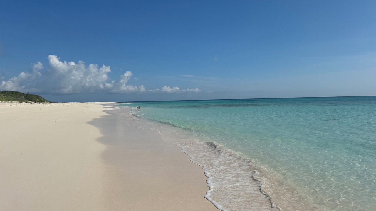Photo of Others in Great Guana Cay