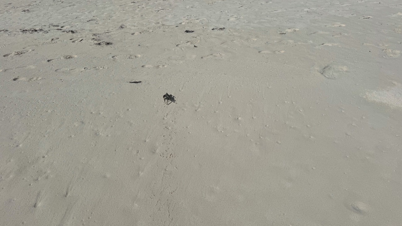 Photo of Others in Great Guana Cay