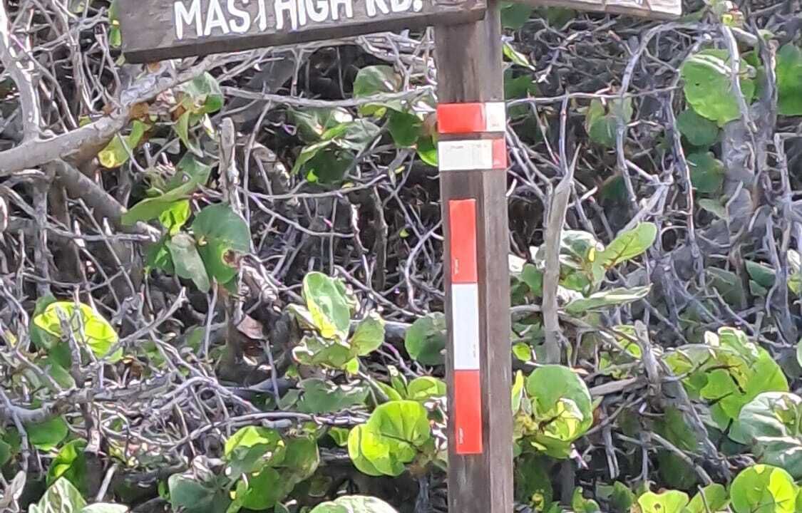 Photo of Others in Rainbow Bay