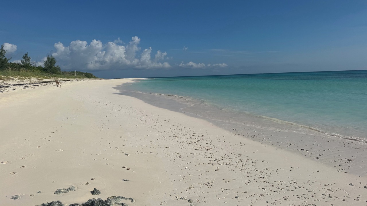 Photo of Others in Great Guana Cay