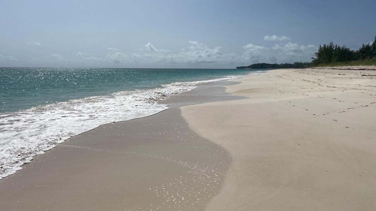 Photo of Others in North Palmetto Point