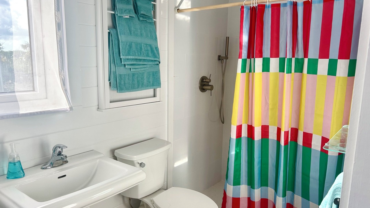 Photo of Bathroom in North Palmetto Point