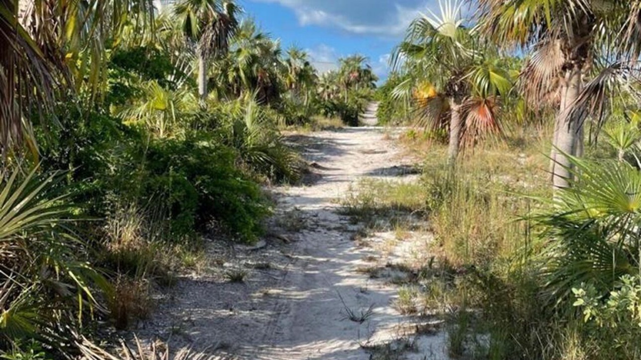 Photo of Others in North Palmetto Point