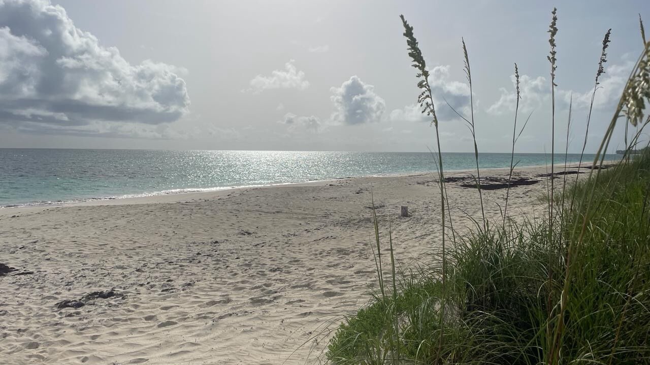 Photo of Others in North Palmetto Point