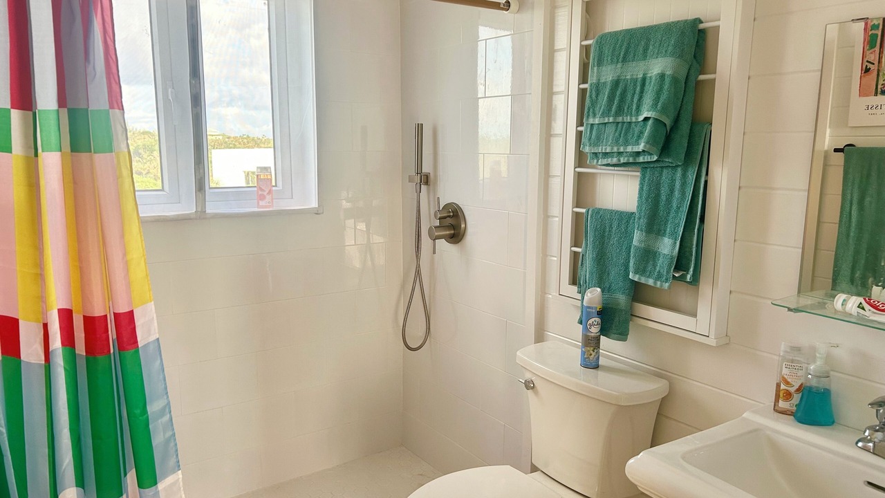 Photo of Bathroom in North Palmetto Point